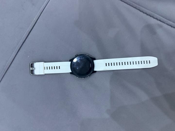 garmin