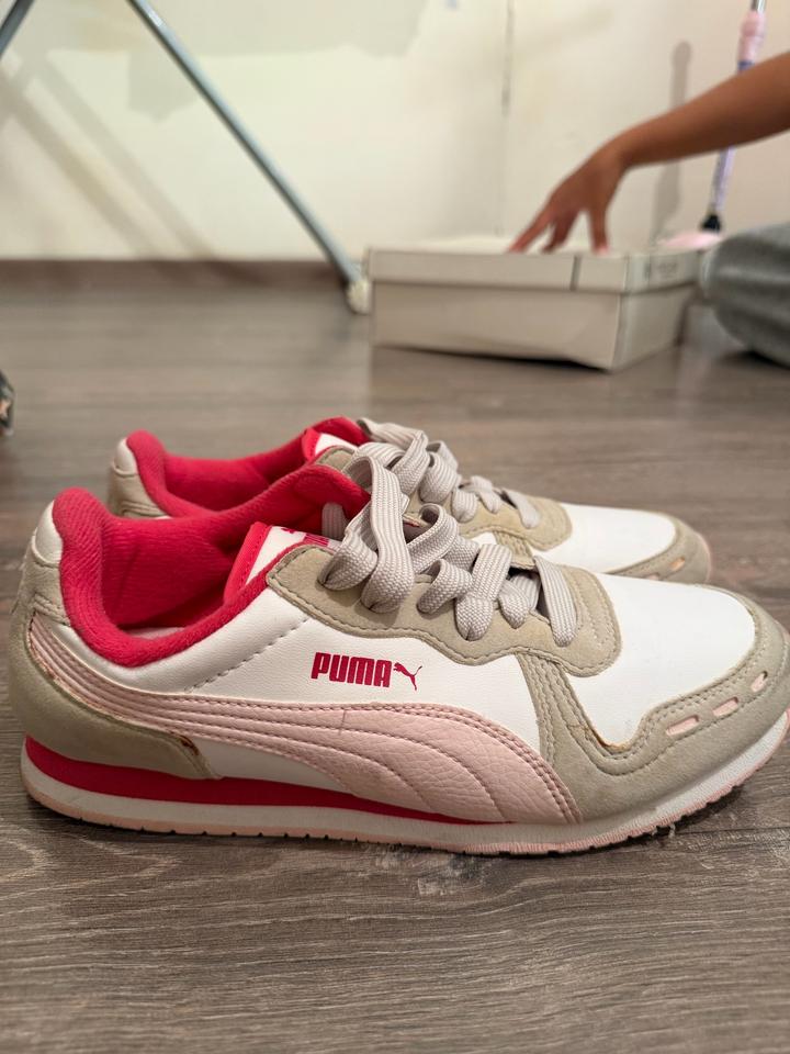 Puma