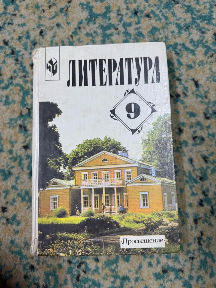 Литература 9 класс