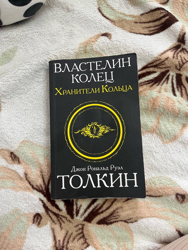 Властелин Колец. Хранители Кольца