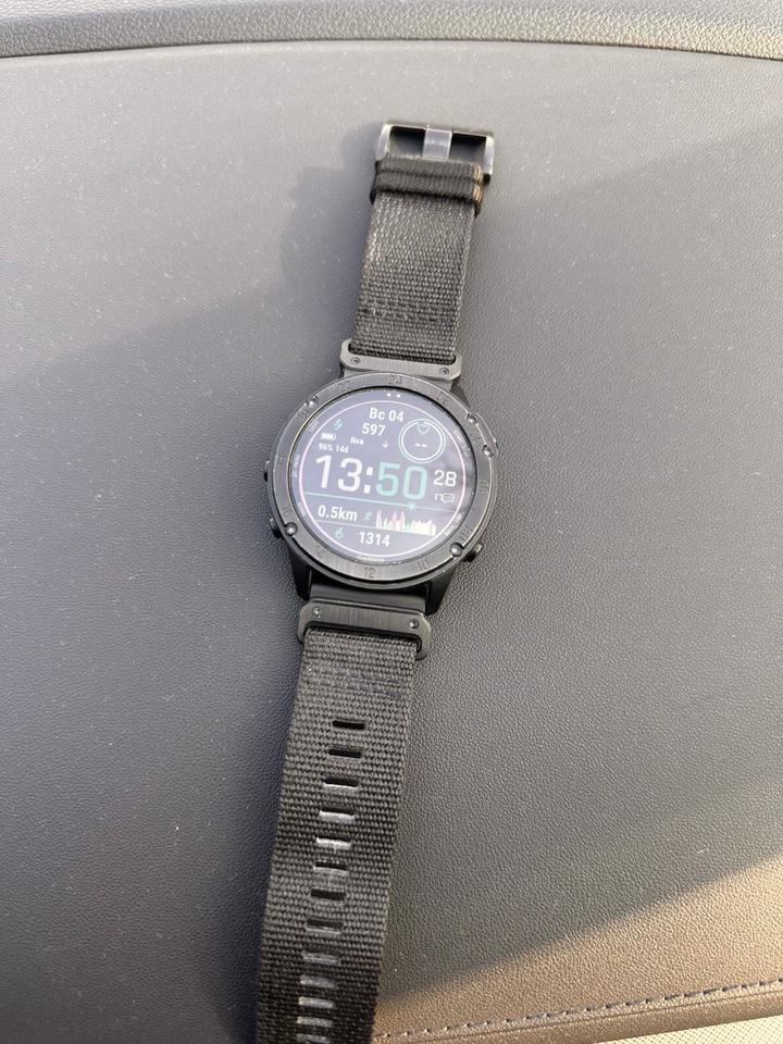 garmin