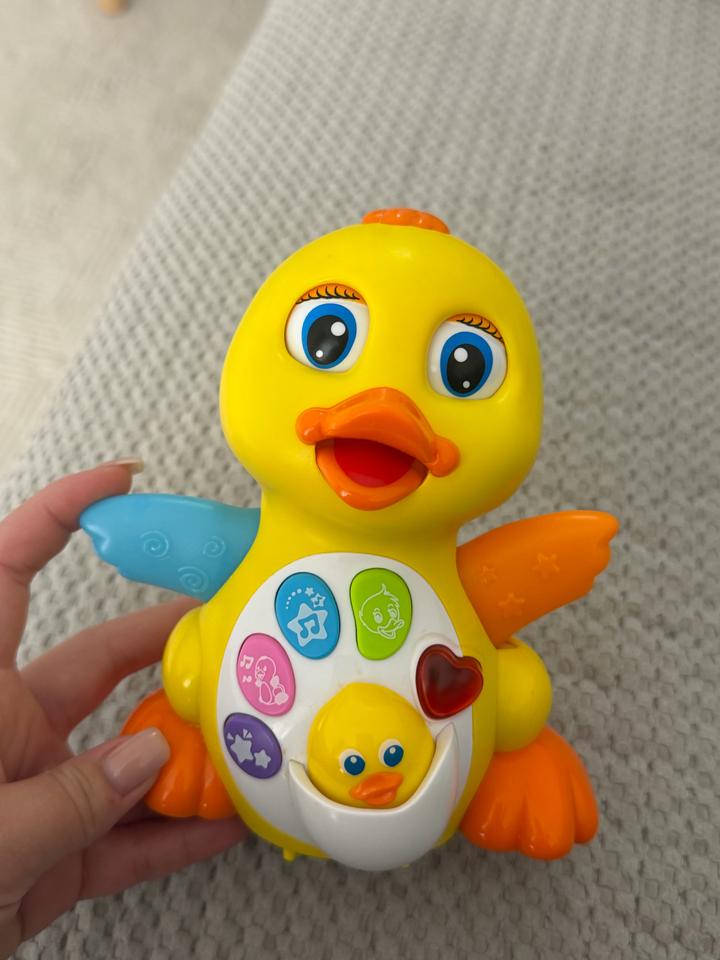 Hola