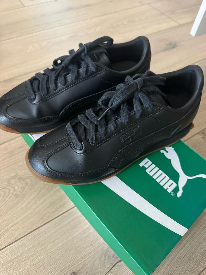 Puma