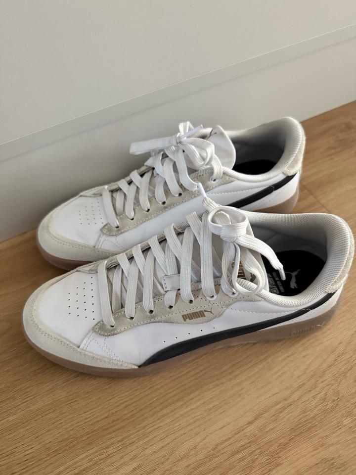 Puma