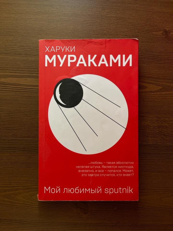 Книга «Мой любимый sputnik»