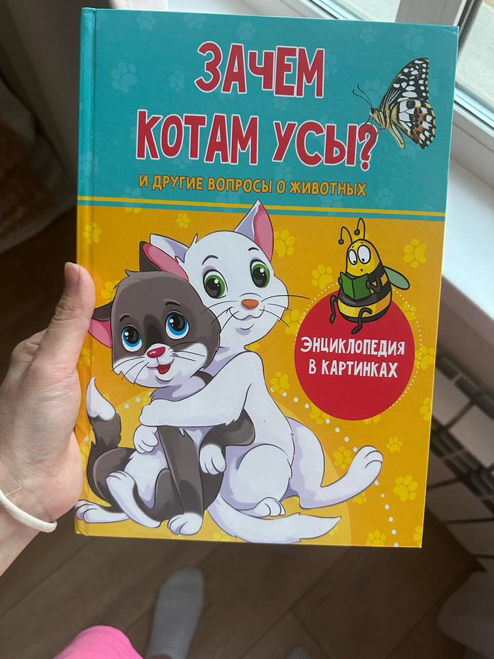 Зачем котам усы? И другие вопросы о животных