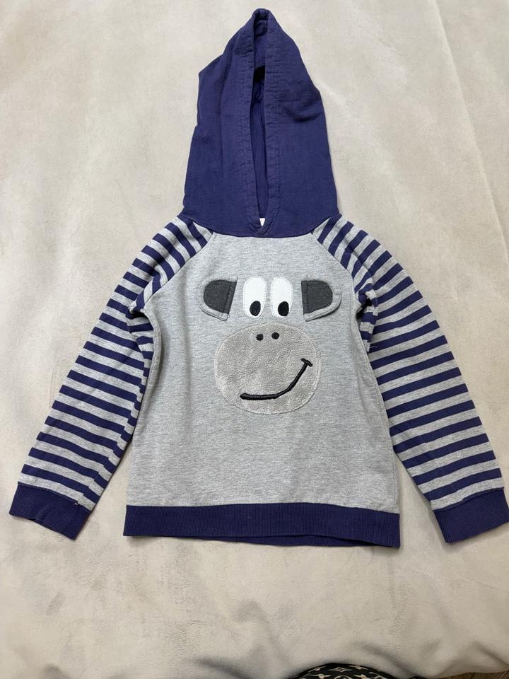 blue zoo