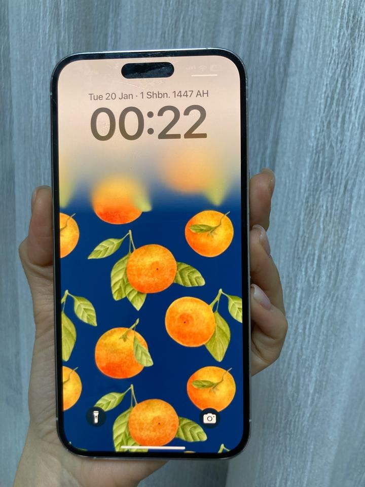 iPhone