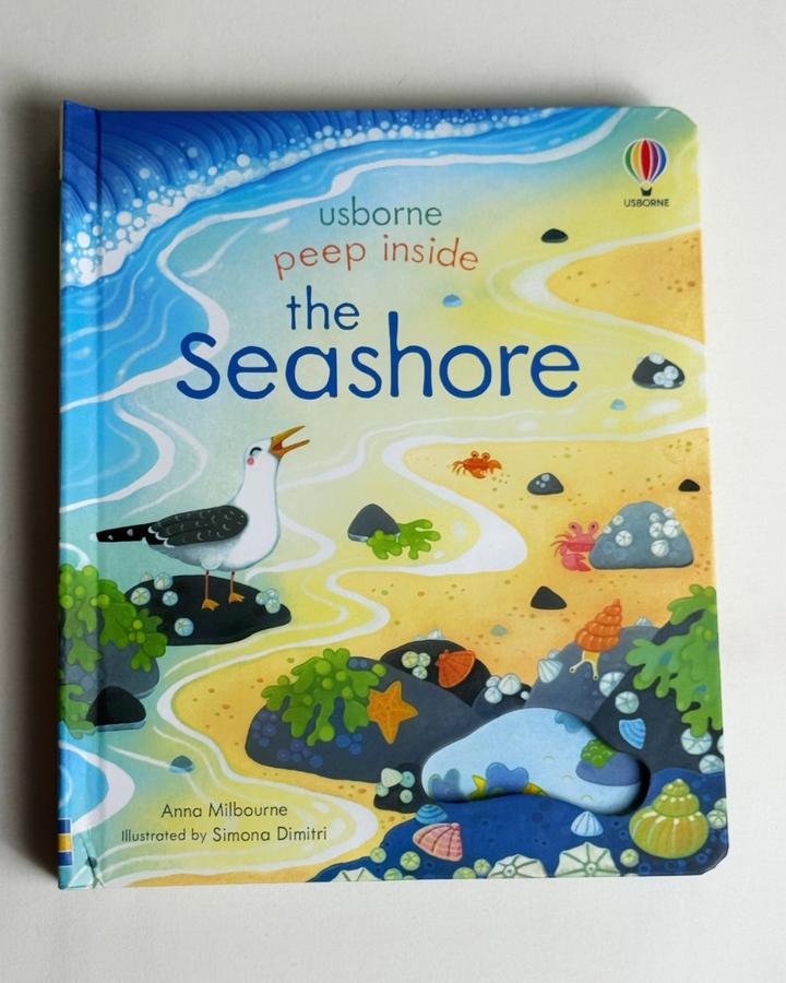 Peep inside the Seashore