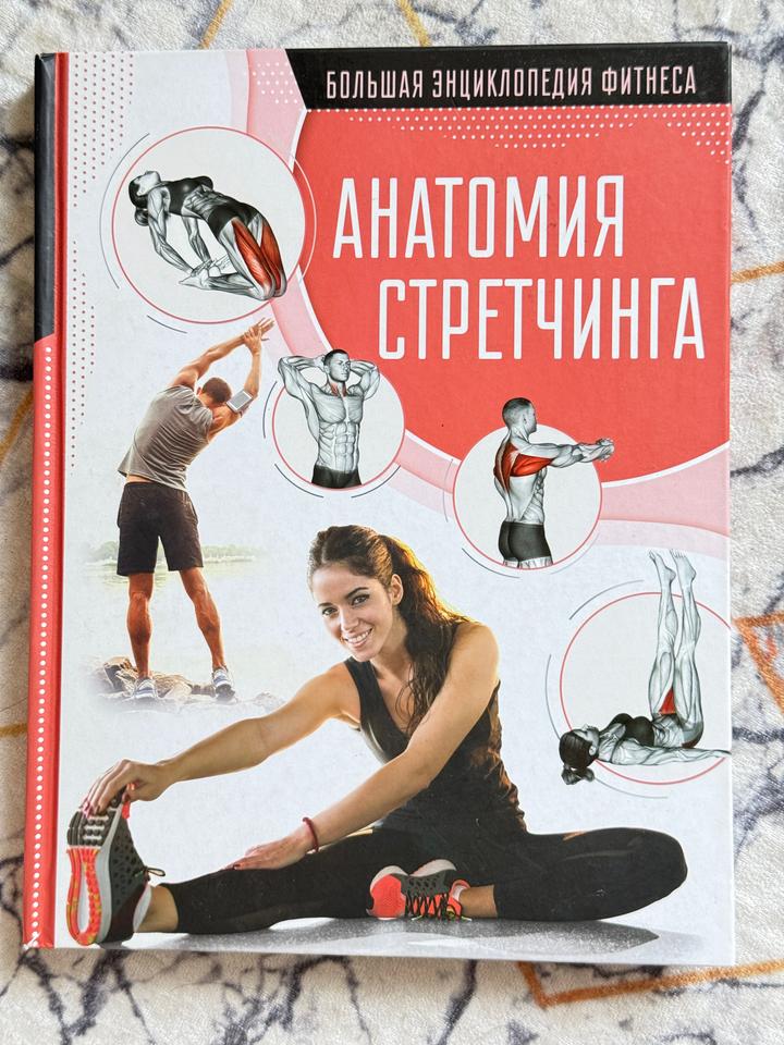 Анатомия стретчинга