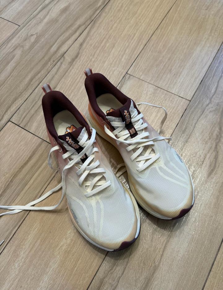 Кроссовки Li-Ning