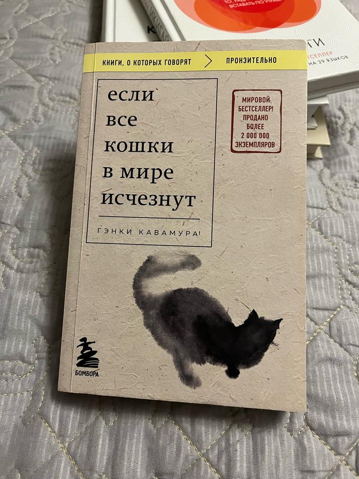 Если все кошки в мире исчезнут книга