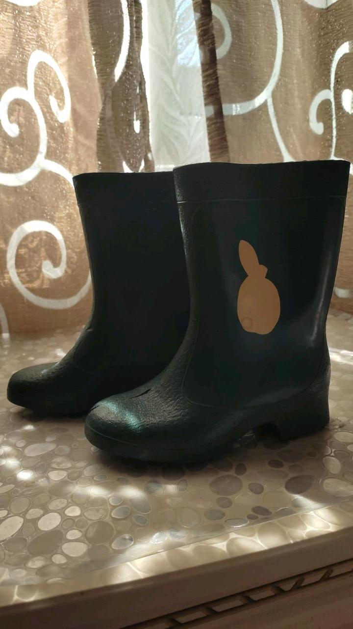 Сапоги
