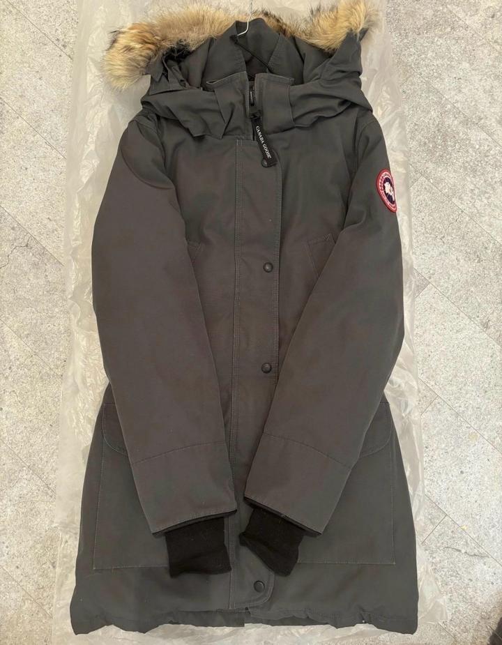 Canada Goose