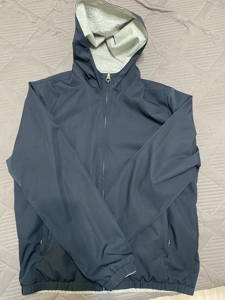 msq