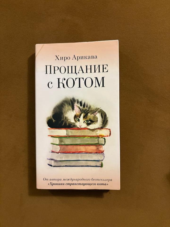 Прощание с котом