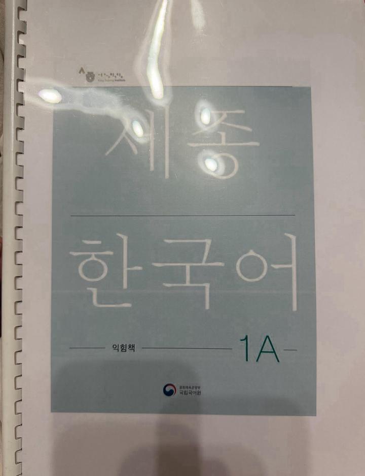 Sejong Korean 1A книга и рабочая тетрадь по корейскому в распечатке