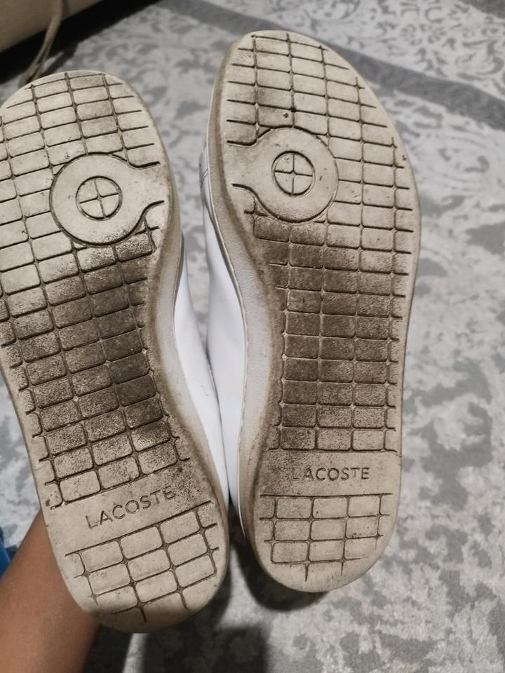 Lacoste Кроссовки