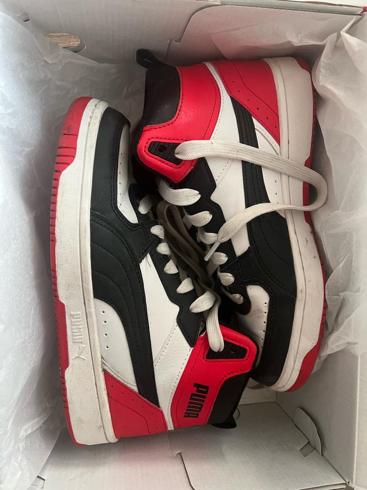 Puma