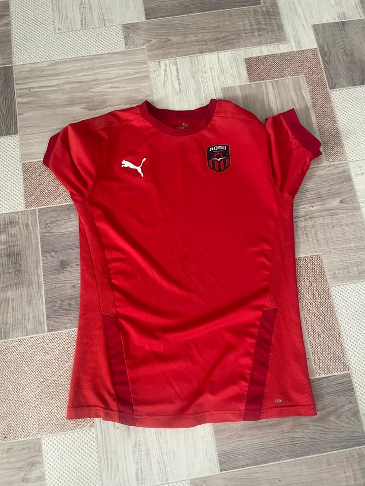Puma
