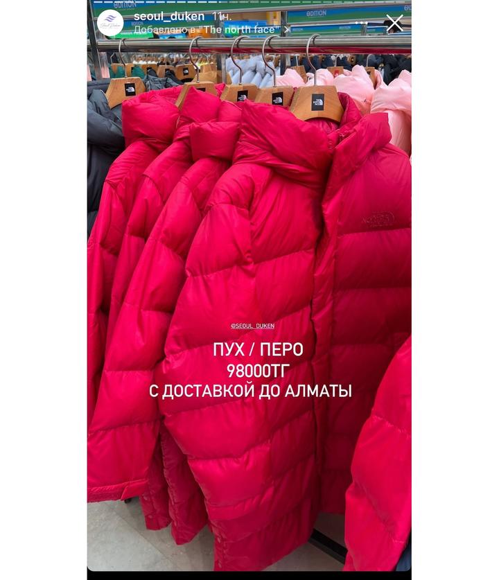Пуховик The North Face