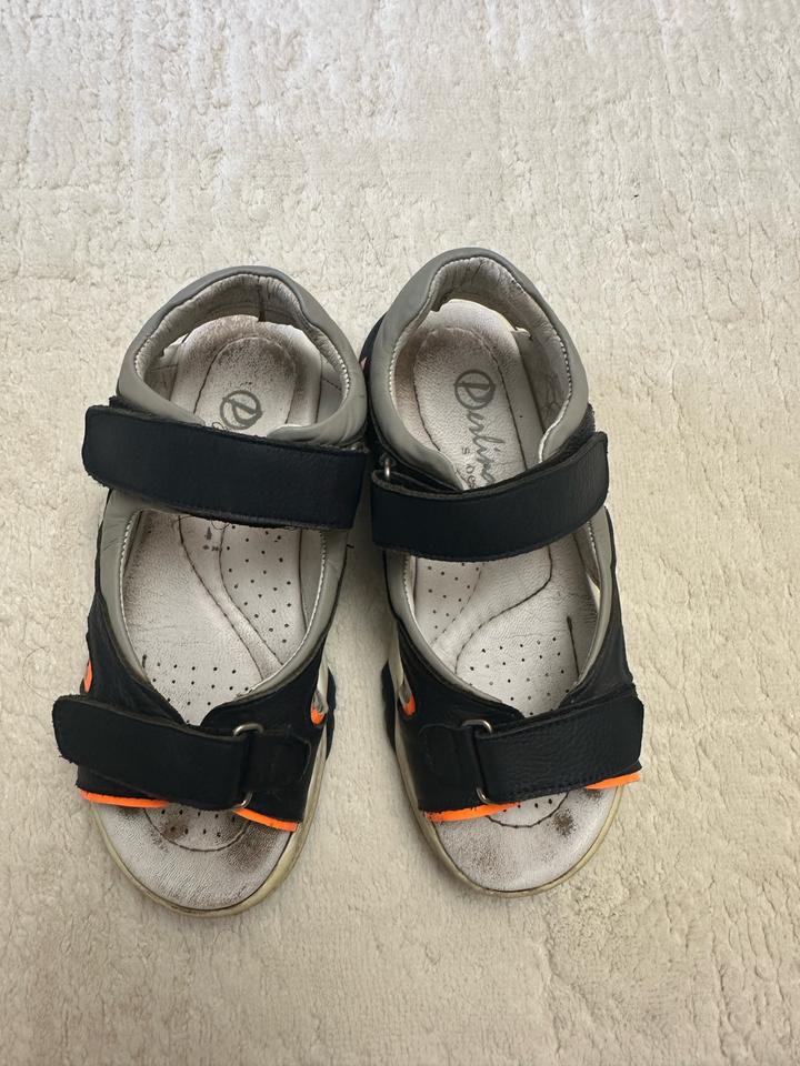 Derlina shoes