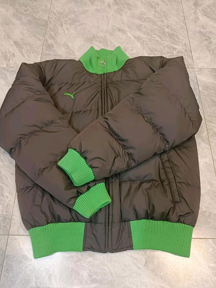 Puma