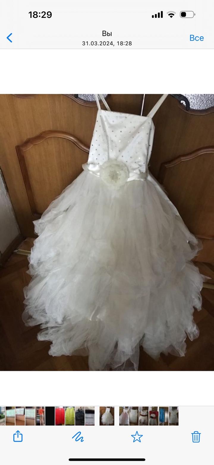 kids Moda