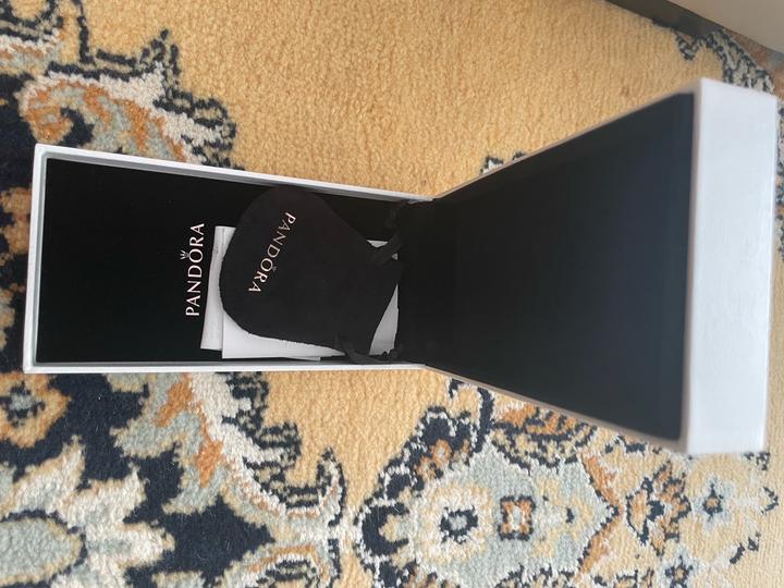 Pandora Футляр