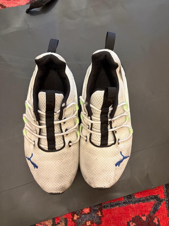 Puma