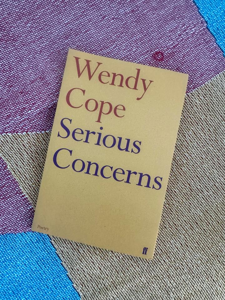 Serious Concerns на АНГЛИЙСКОМ