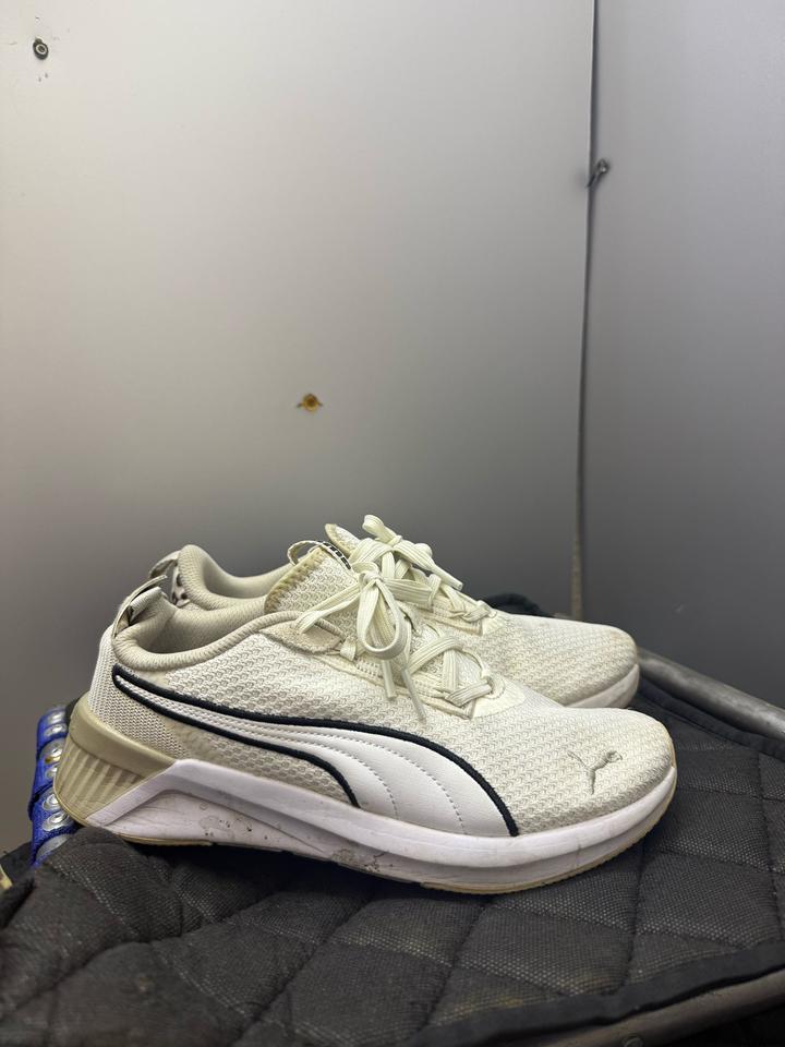 Puma