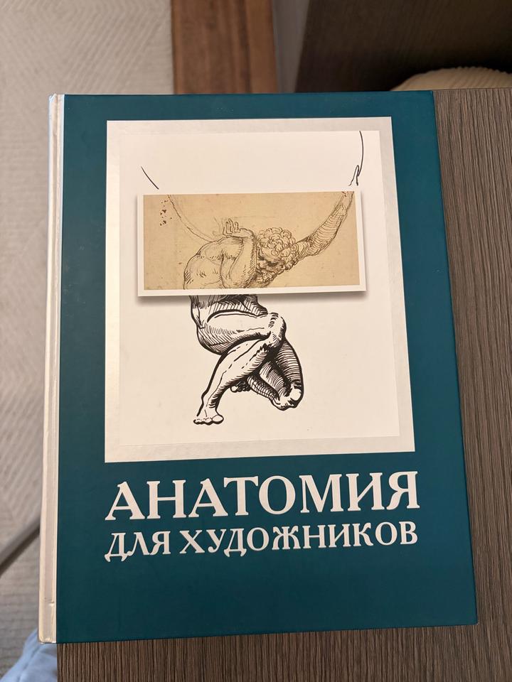 Анатомия для художников