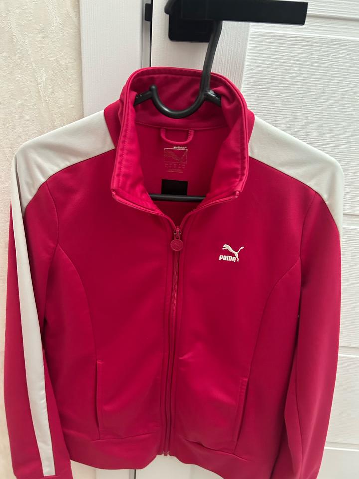 Puma