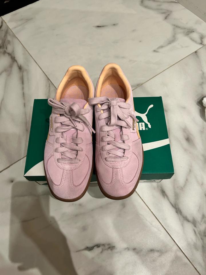 Puma