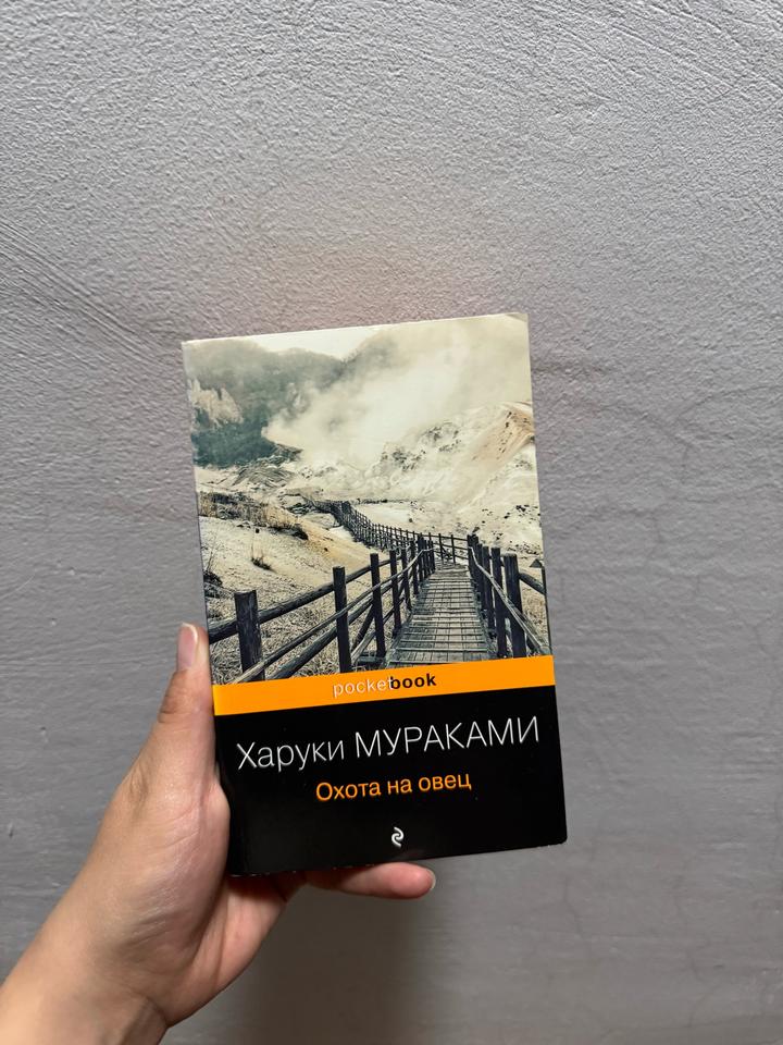 Охота на овец