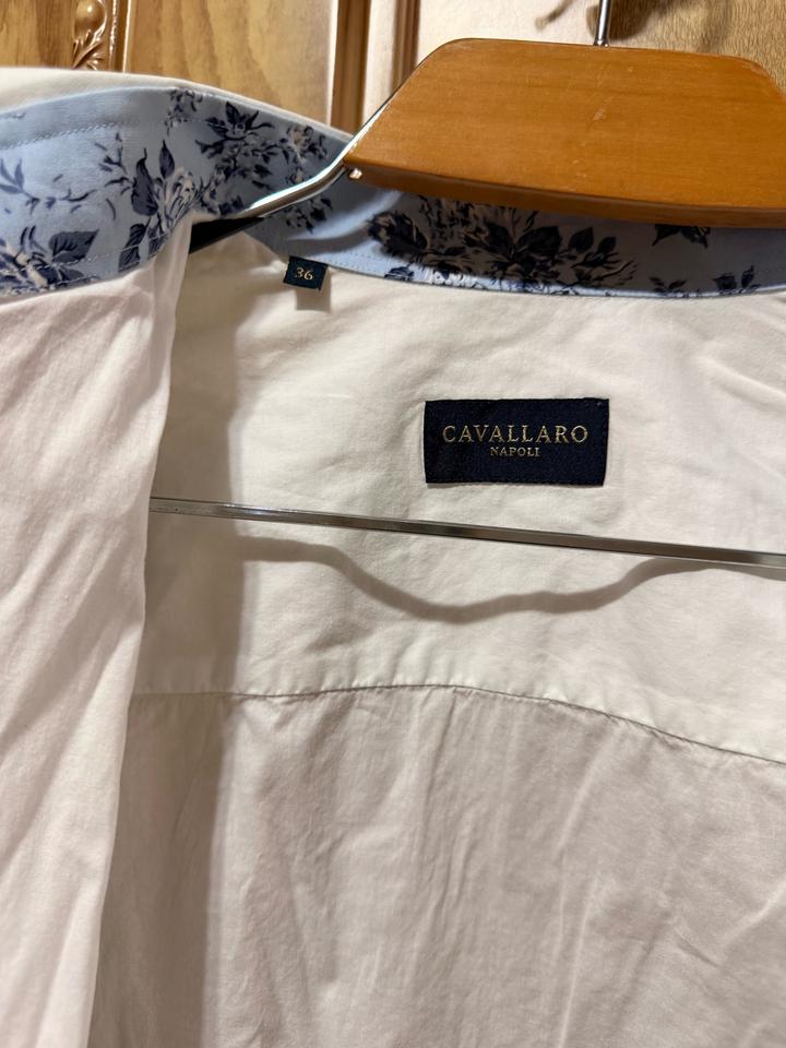 Cavallaro Napoli