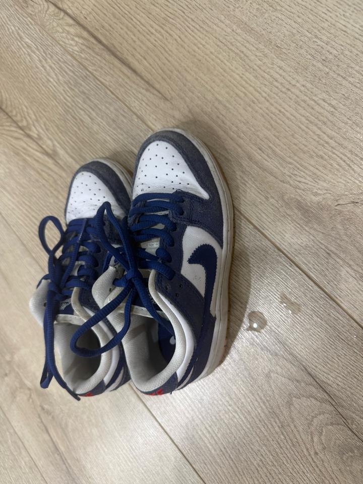 Кроссовки Nike SB