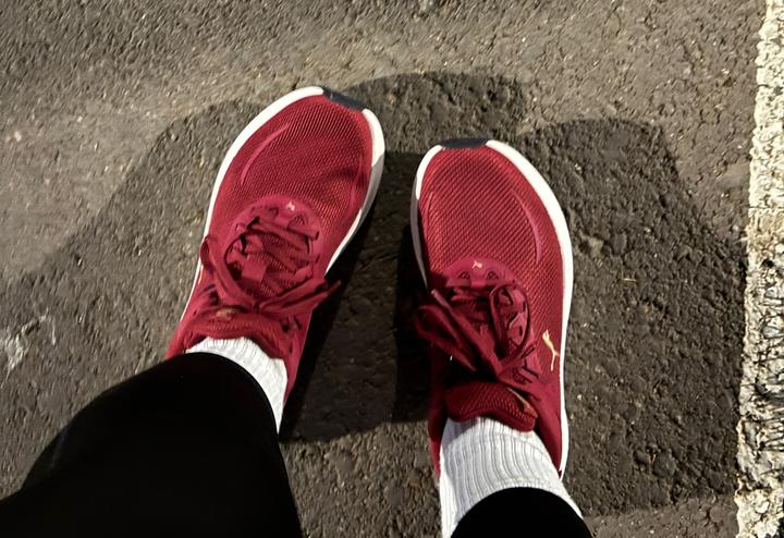 Puma
