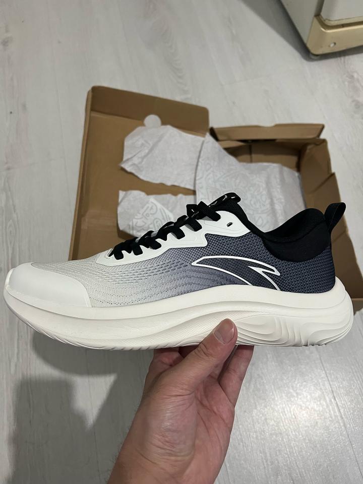 Anta