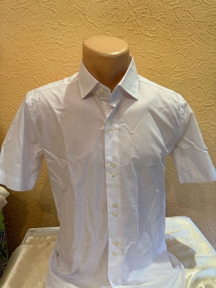 Polo Exclusive