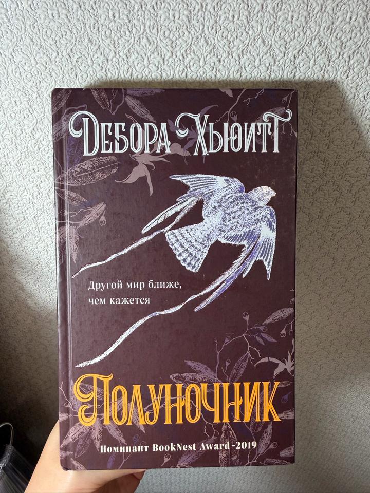 Полуночник