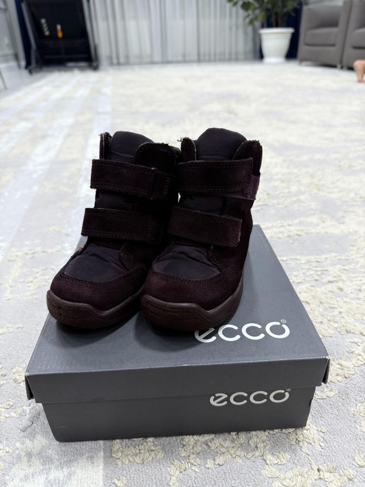 ECCO