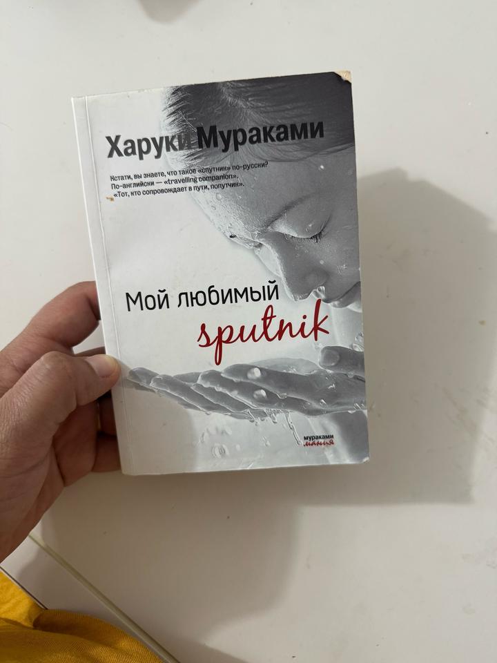 Мой любимый sputnik