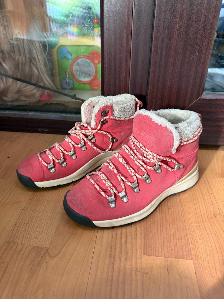 Зимние кросовки Nike Astoria ACG