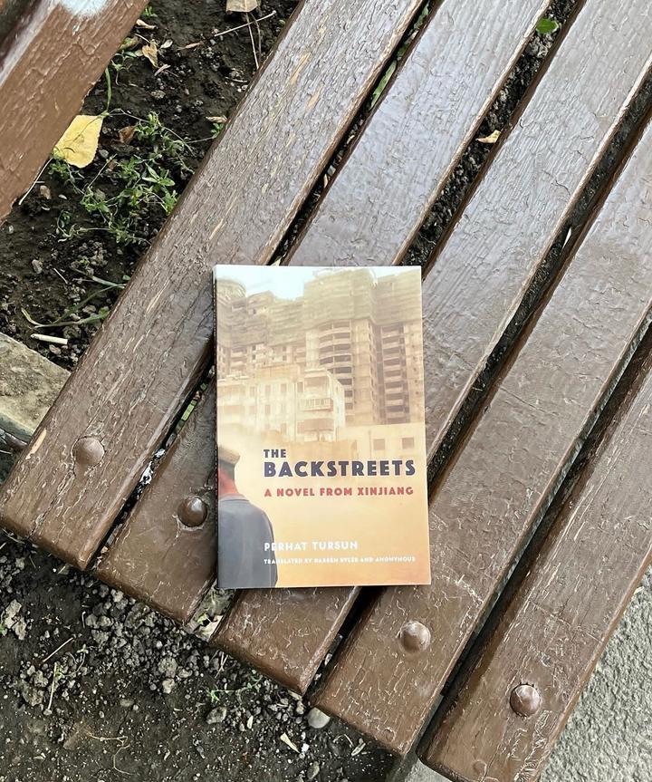 The Backstreets: A Novel from Xinjiang
