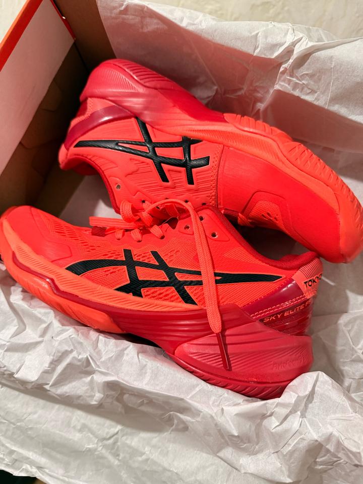 Кроссовки Asics Sky Elite FF