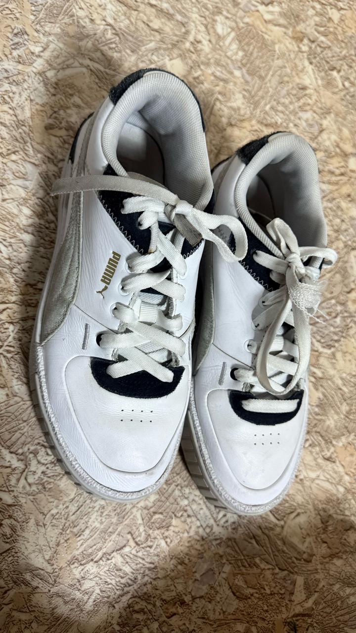 Puma