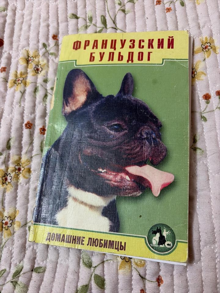 Французский бульдог