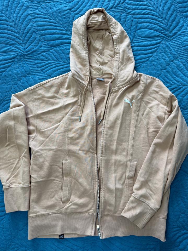Puma